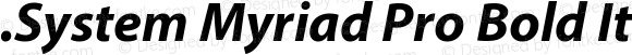 .System Myriad Pro Bold Italic