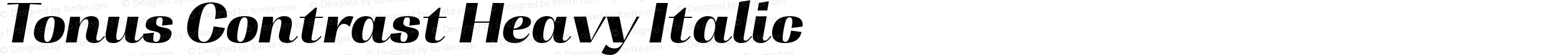 Tonus Contrast Heavy Italic