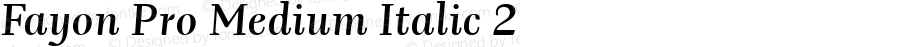 Fayon Pro Medium Italic 2