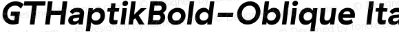 GTHaptikBold-Oblique Italic