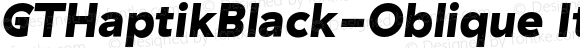 GTHaptikBlack-Oblique Italic