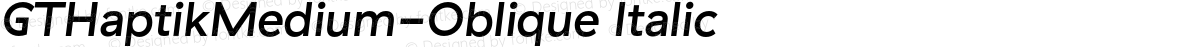 GTHaptikMedium-Oblique Italic