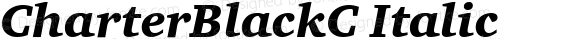 CharterBlackC Italic