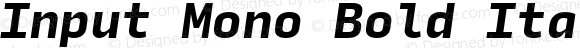 Input Mono Bold Italic