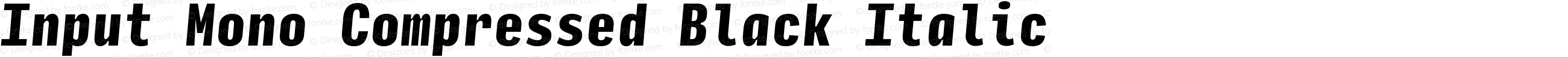 Input Mono Compressed Black Italic