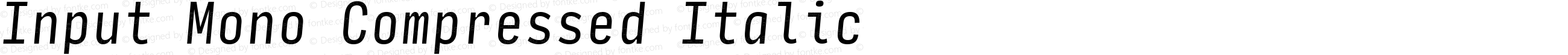 Input Mono Compressed Italic