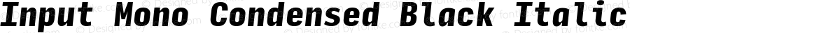 Input Mono Condensed Black Italic
