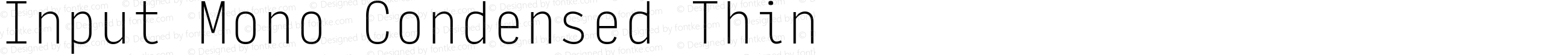 Input Mono Condensed Thin