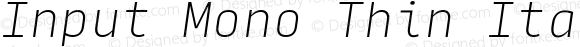 Input Mono Thin Italic