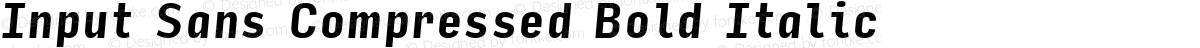 Input Sans Compressed Bold Italic