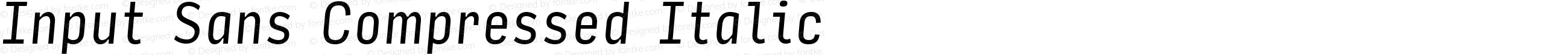 Input Sans Compressed Italic