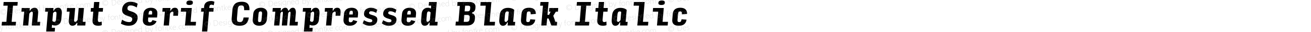 Input Serif Compressed Black Italic