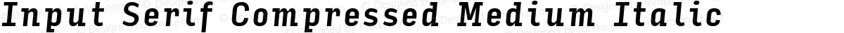 Input Serif Compressed Medium Italic