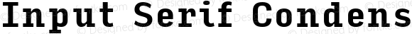 Input Serif Condensed Bold
