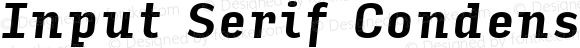 Input Serif Condensed Bold Italic