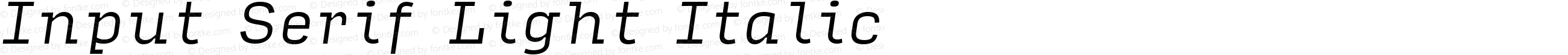 Input Serif Light Italic