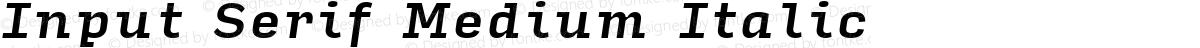 Input Serif Medium Italic
