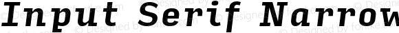 Input Serif Narrow Bold Italic