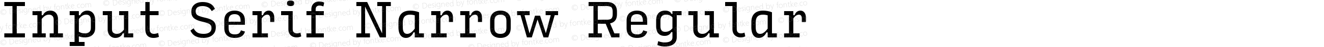 Input Serif Narrow Regular