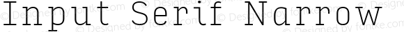 Input Serif Narrow Thin