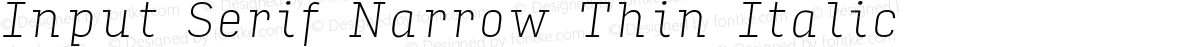 Input Serif Narrow Thin Italic