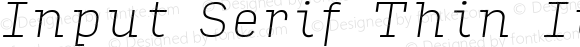 Input Serif Thin Italic