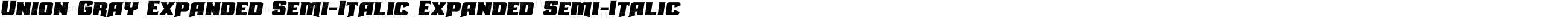 Union Gray Expanded Semi-Italic Expanded Semi-Italic