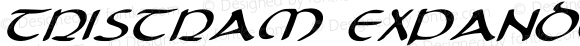 Tristram Expanded Italic Expanded Italic