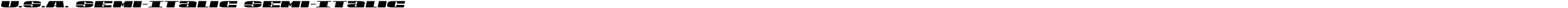 U.S.A. Semi-Italic Semi-Italic