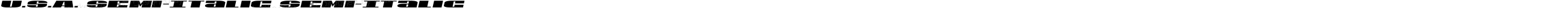 U.S.A. Semi-Italic Semi-Italic