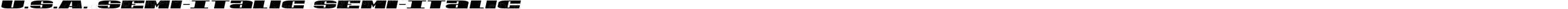 U.S.A. Semi-Italic Semi-Italic
