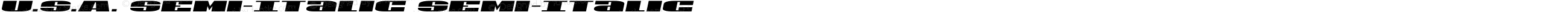 U.S.A. Semi-Italic Semi-Italic