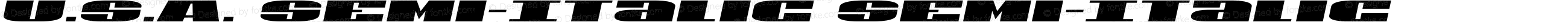 U.S.A. Semi-Italic Semi-Italic