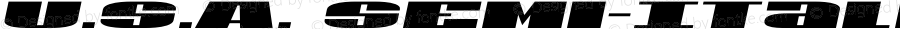 U.S.A. Semi-Italic Semi-Italic