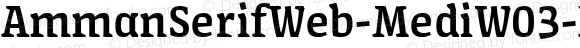 AmmanSerifWeb-MediW03-Rg Regular Version 7.504