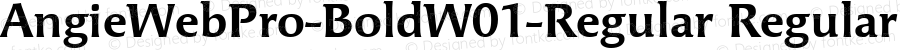 AngieWebPro-BoldW01-Regular Regular Version 7.504