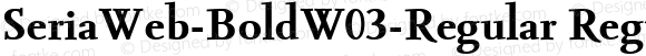 SeriaWeb-BoldW03-Regular Regular