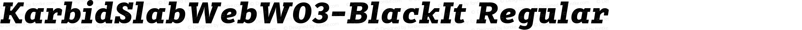 KarbidSlabWeb W03 BlackItalic