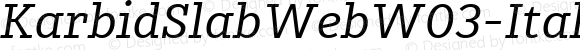 KarbidSlabWeb W03 Italic