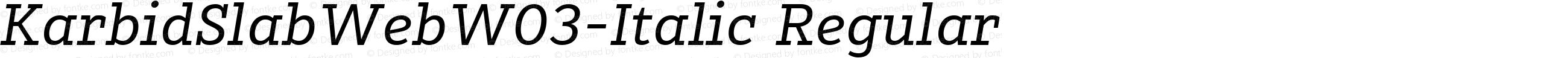 KarbidSlabWeb W03 Italic