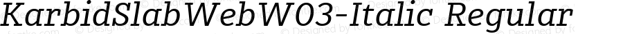 KarbidSlabWeb W03 Italic