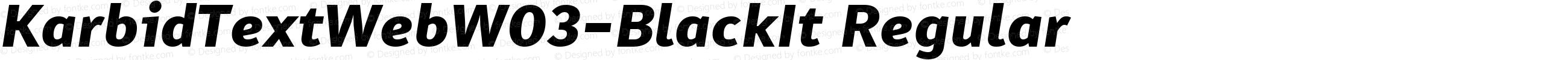 KarbidTextWebW03-BlackIt Regular