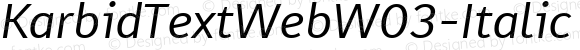KarbidTextWeb W03 Italic