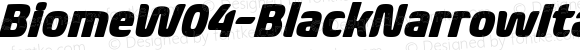 BiomeW04-BlackNarrowItalic Regular