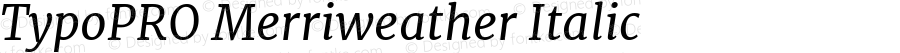 TypoPRO Merriweather Italic