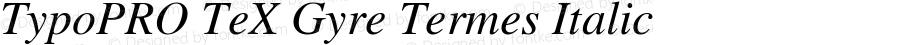 TypoPRO TeXGyreTermes-Italic