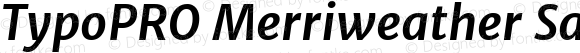 TypoPRO Merriweather Sans Bold Italic