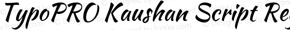 TypoPRO Kaushan Script