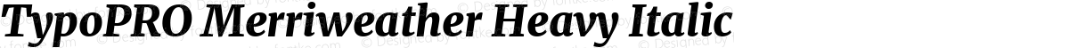 TypoPRO Merriweather Heavy Italic