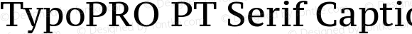 TypoPRO PT Serif Caption Regular
